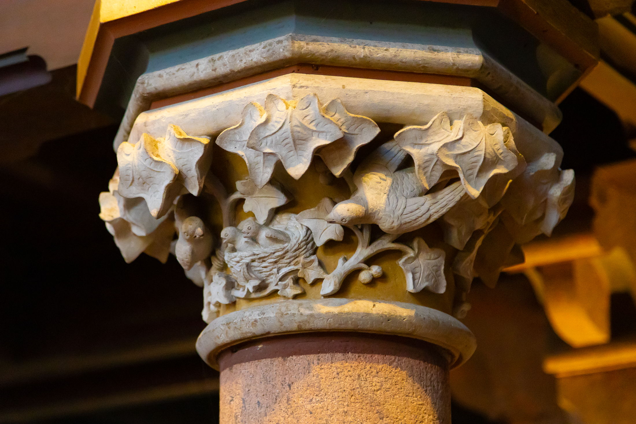 20221127-_62A7221 kl